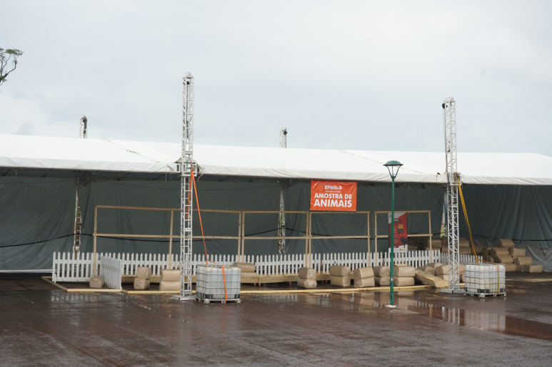 Capa notícia Oitava Efaislo vai valorizar gen&eacute;tica e refor&ccedil;ar a for&ccedil;a do agroneg&oacute;cio com exposi&ccedil;&atilde;o de animais